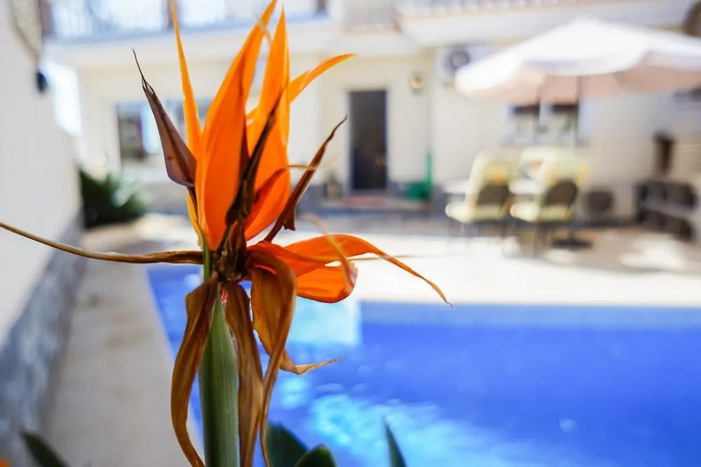 Villa Roan De Amberes Torrox Spain